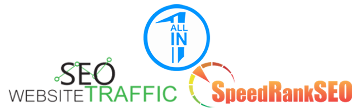 SEO Website Traffic